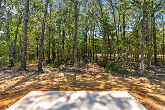 85 Turkey Roost Drive, Quitman, AR 72131