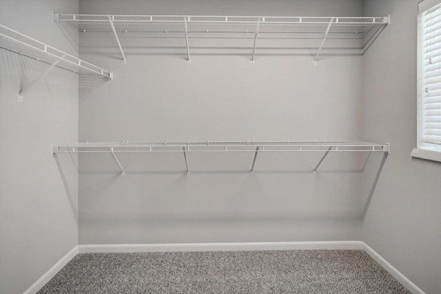 830 Lady Bug Lane, Verona, WI 53593