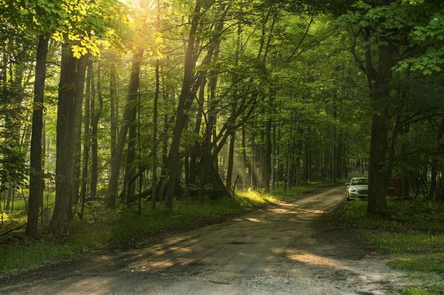 10870 Torchlight Lane, Central Lake Twp, MI 49622