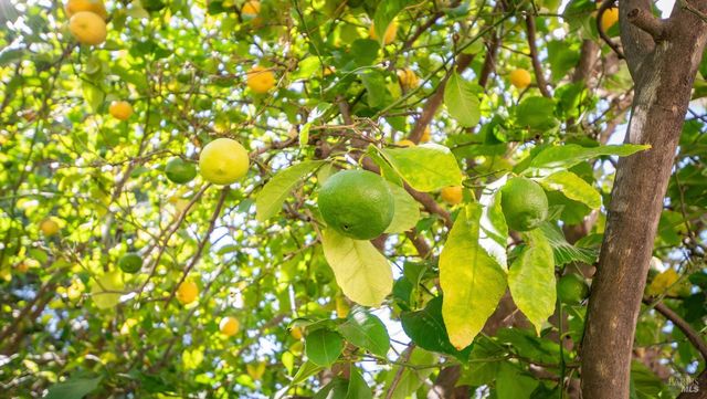 3265 Arroyo Dr, Fairfield, CA 94533