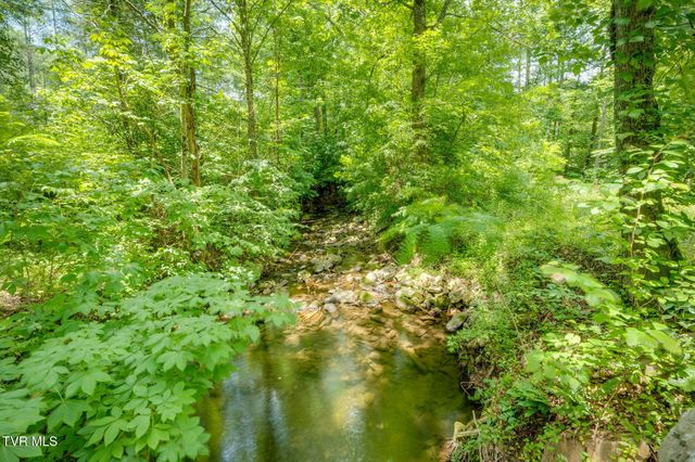959 Dry Creek Road, Jonesborough, TN 37659