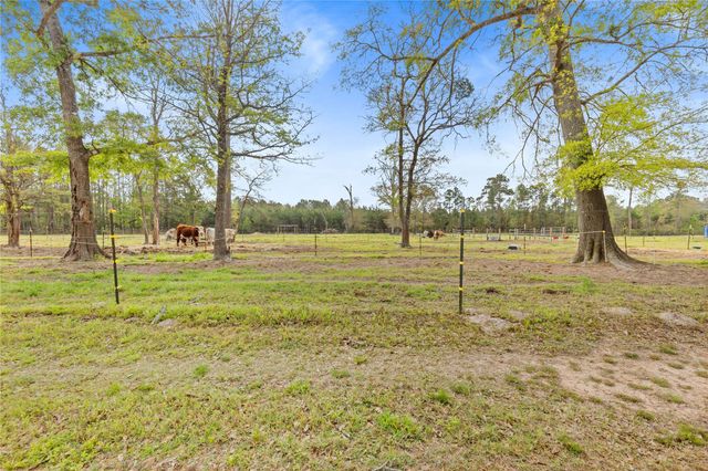110 Southwood Forest Road, Huntsville, TX 77340
