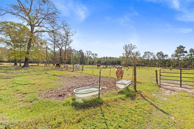 110 Southwood Forest Road, Huntsville, TX 77340