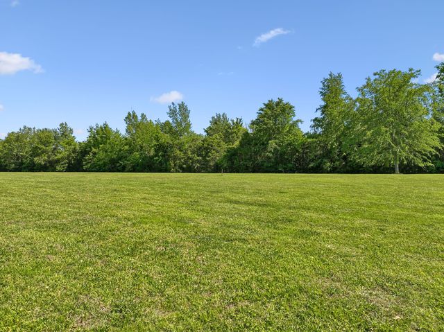 250 Bonwood Dr, Murfreesboro, TN 37128
