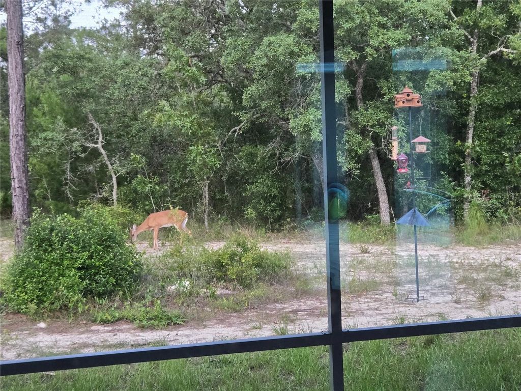 Image 57 of property listing at 14610 HIDDEN DEER TRAIL, Brooksville, FL 34614