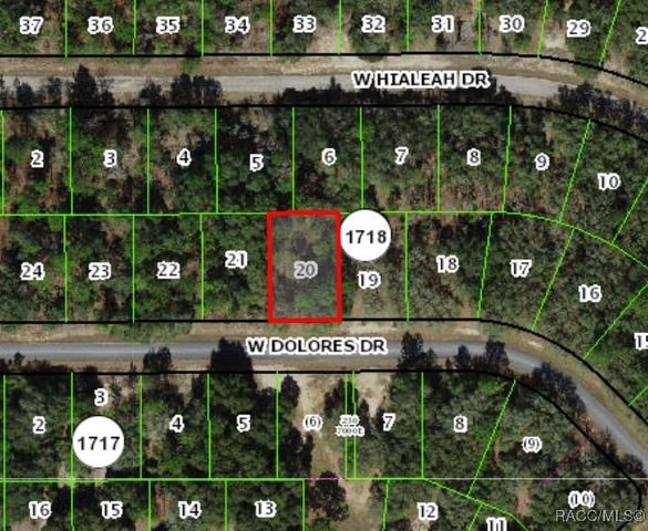 1439 W Dolores Drive, Citrus Springs, FL 34434