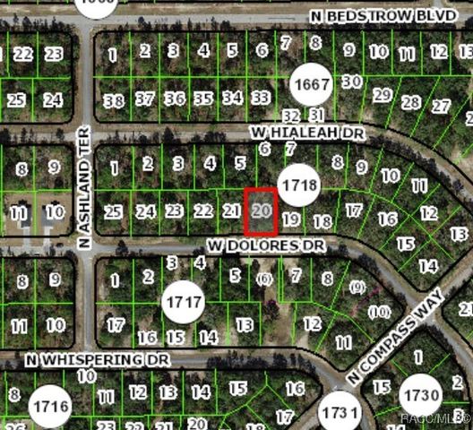 1439 W Dolores Drive, Citrus Springs, FL 34434