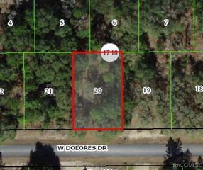 1439 W Dolores Drive, Citrus Springs, FL 34434