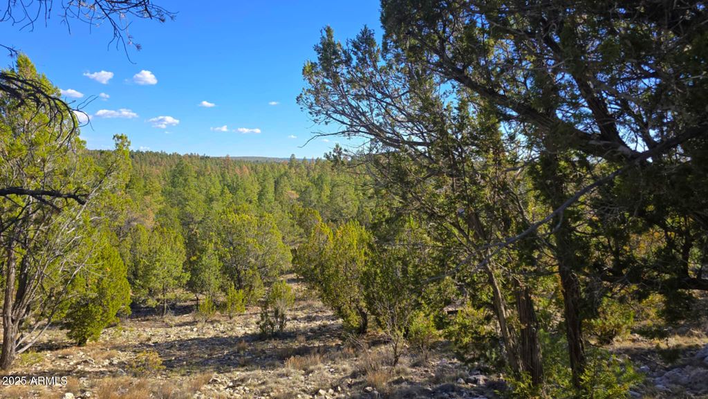 2947 E LOOKOUT Lane 339, Overgaard, AZ 85933