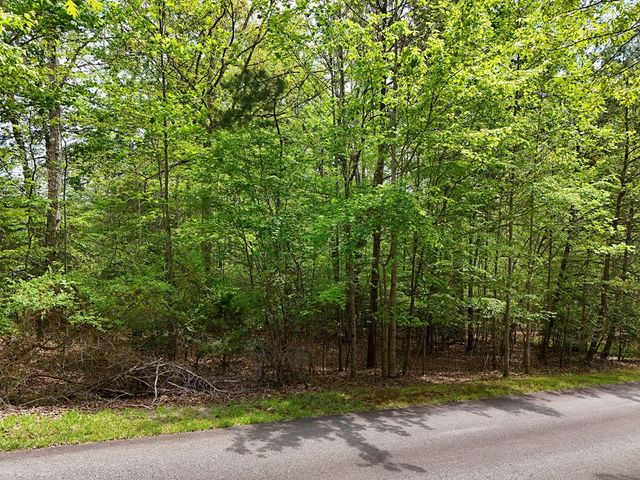 Lot 112 Falcon Drive, Blairsville, GA 30512