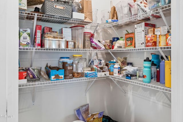 99 Sessile Court, Johnson City, TN 37604