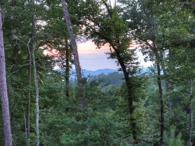 149 Watersong Bluff, Ellijay, GA 30540