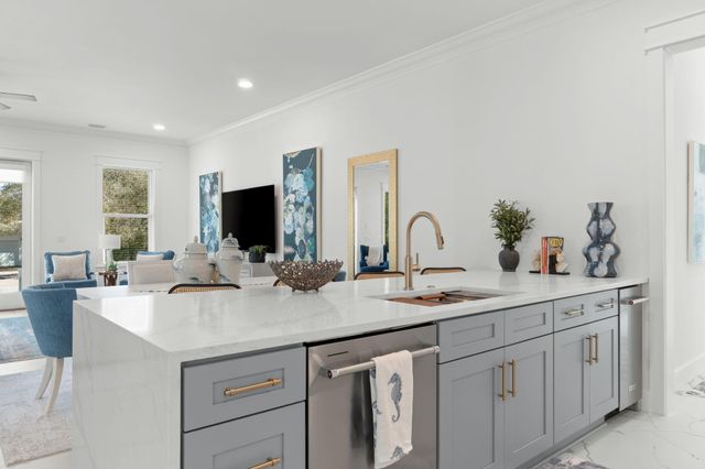 225 Clareon Drive, Inlet Beach, FL 32461