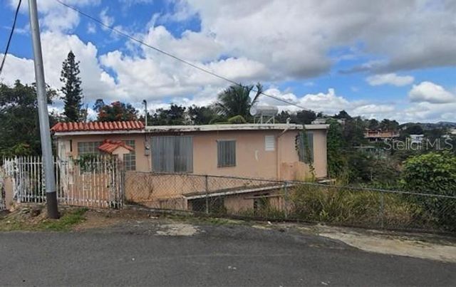 PR-730 INTERIOR BUENA VISTA, TOITA WARD, Cayey, PR 00736