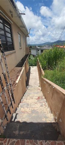 PR-730 INTERIOR BUENA VISTA, TOITA WARD, Cayey, PR 00736