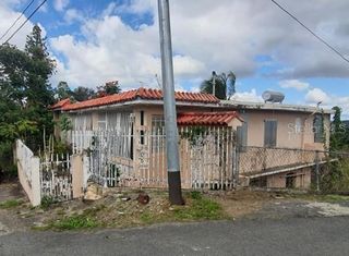 PR-730 INTERIOR BUENA VISTA, TOITA WARD, Cayey, PR 00736