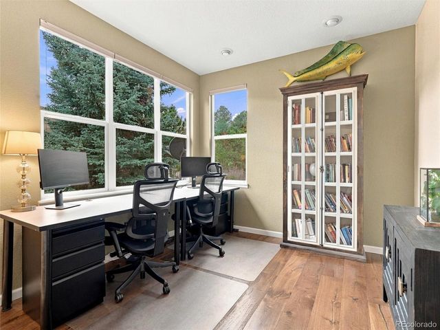 26245 Sweetbriar Trl, Evergreen, CO 80439