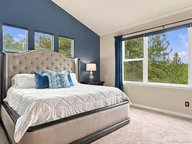 26245 Sweetbriar Trl, Evergreen, CO 80439