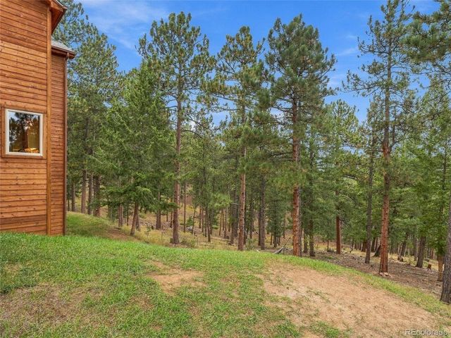 26245 Sweetbriar Trl, Evergreen, CO 80439