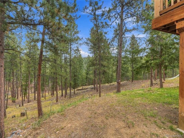 26245 Sweetbriar Trl, Evergreen, CO 80439