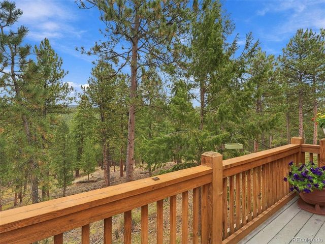 26245 Sweetbriar Trl, Evergreen, CO 80439