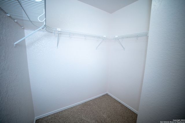 4935 ANCIENT ELM, San Antonio, TX 78247