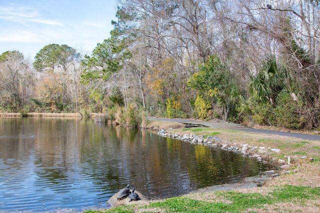 2609 John Boone Court, Mount Pleasant, SC 29466