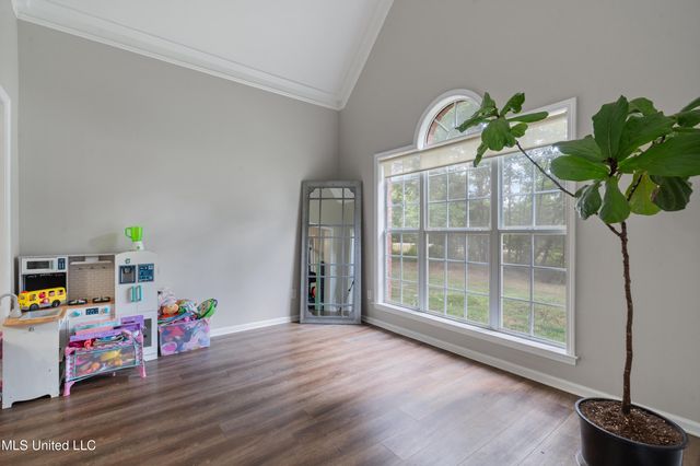 1542 Amy Taylor Drive, Hernando, MS 38632