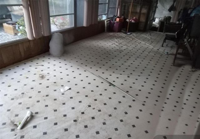 2805 CR 423, Lake Panasoffkee, FL 33538