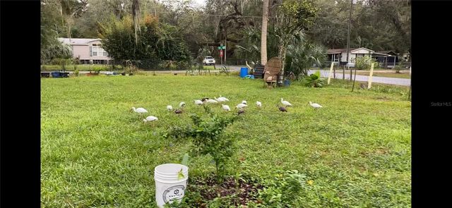 2805 CR 423, Lake Panasoffkee, FL 33538