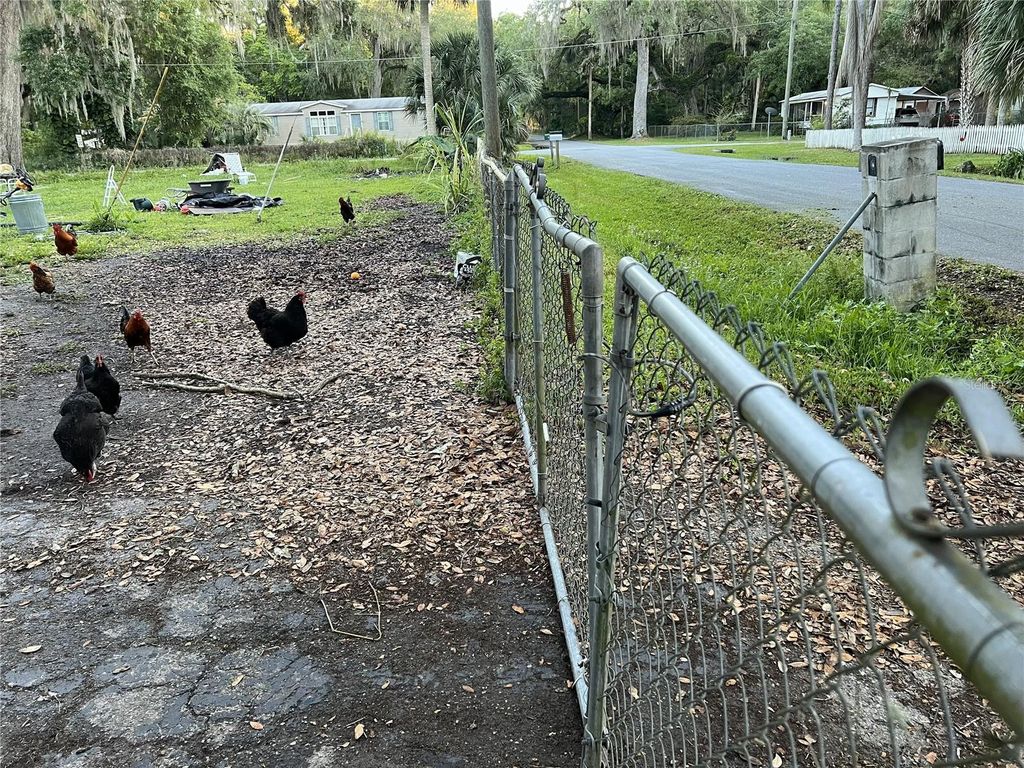 2805 CR 423, Lake Panasoffkee, FL 33538