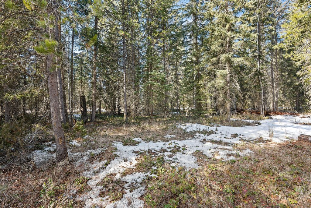 757 Lodgepole Road, Whitefish, MT 59937 photo 66