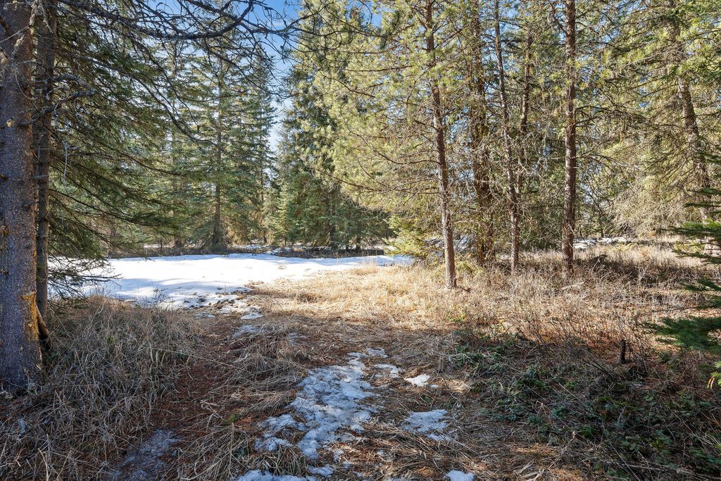 757 Lodgepole Road, Whitefish, MT 59937 photo 87