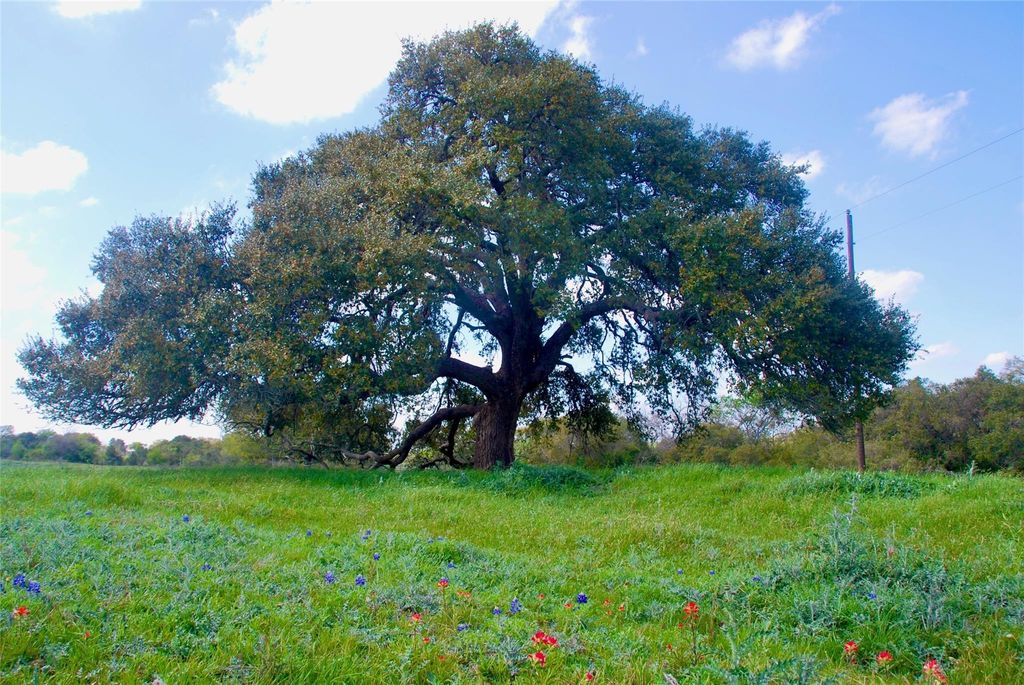 450 County Road 217c, Schulenburg, TX 78956