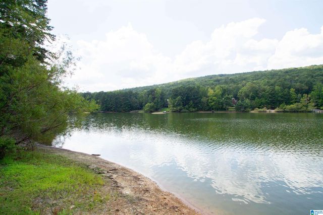6170 LAKESIDE DRIVE, Pinson, AL 35126