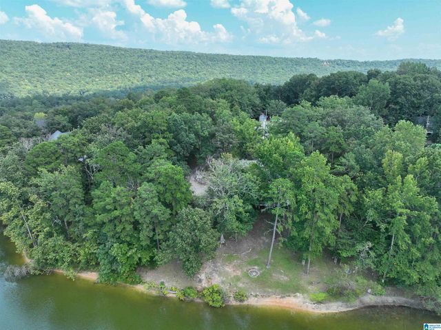 6170 LAKESIDE DRIVE, Pinson, AL 35126