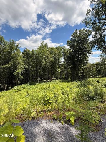 Lot 11 Cherokee Drive, Dandridge, TN 37725
