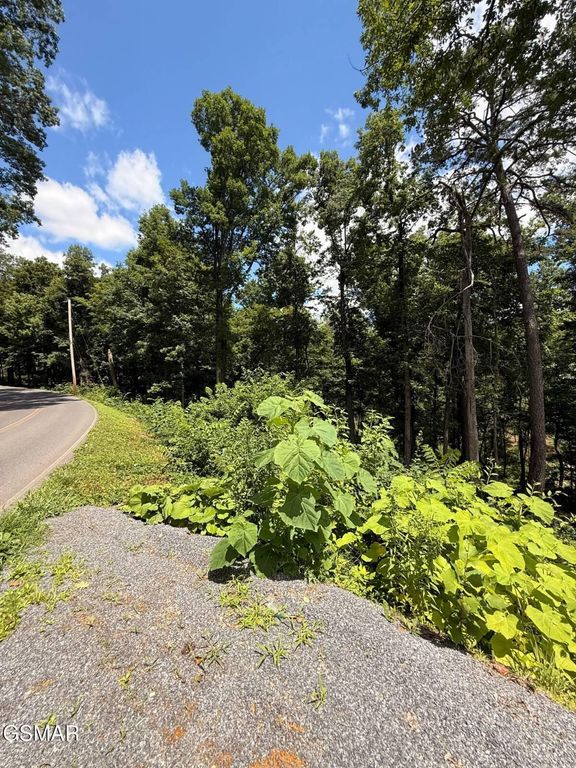Lot 11 Cherokee Drive, Dandridge, TN 37725