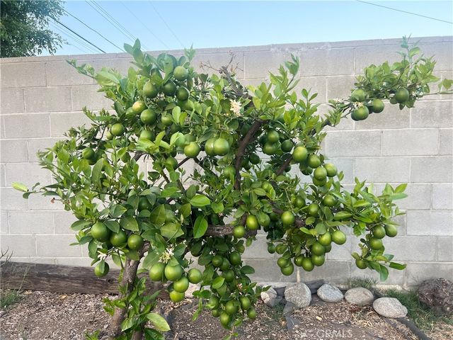 20723 Northampton Street, Walnut, CA 91789