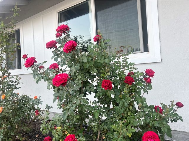 20723 Northampton Street, Walnut, CA 91789