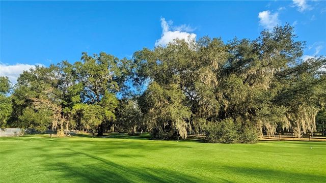 9350 SE 170TH AVENUE ROAD, Ocklawaha, FL 32179