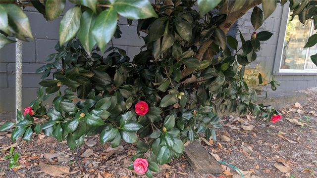 9350 SE 170TH AVENUE ROAD, Ocklawaha, FL 32179