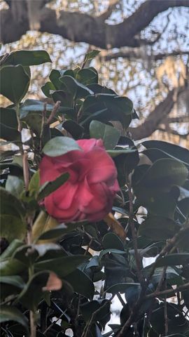 9350 SE 170TH AVENUE ROAD, Ocklawaha, FL 32179