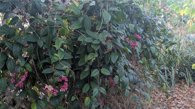 9350 SE 170TH AVENUE ROAD, Ocklawaha, FL 32179