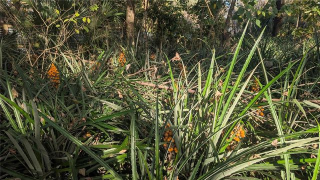 9350 SE 170TH AVENUE ROAD, Ocklawaha, FL 32179