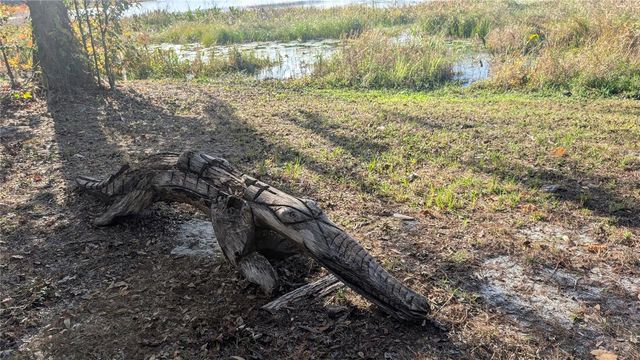 9350 SE 170TH AVENUE ROAD, Ocklawaha, FL 32179