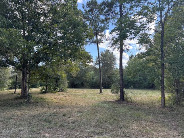200 Spring Ridge Road, Coldspring, TX 77331