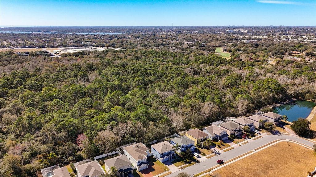 Image 88 of property listing at 380 ROSALIND LANE, Oldsmar, FL 34677