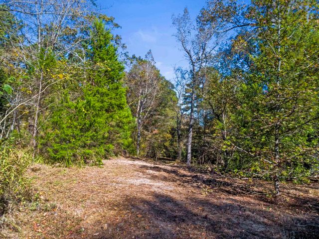 TBD CR 396, Tyler, TX 75708