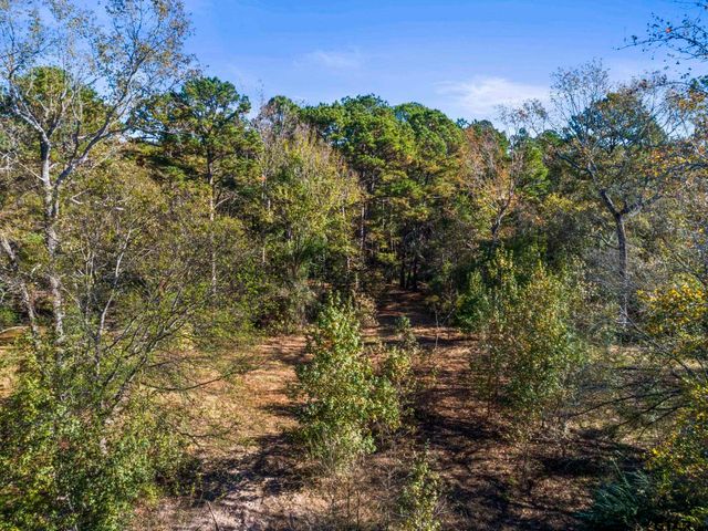 TBD CR 396, Tyler, TX 75708